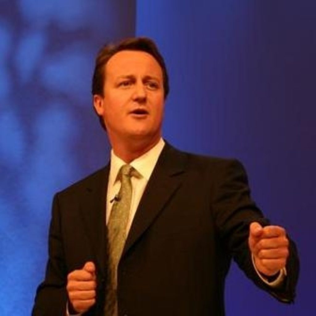 Cameron: heading for majority