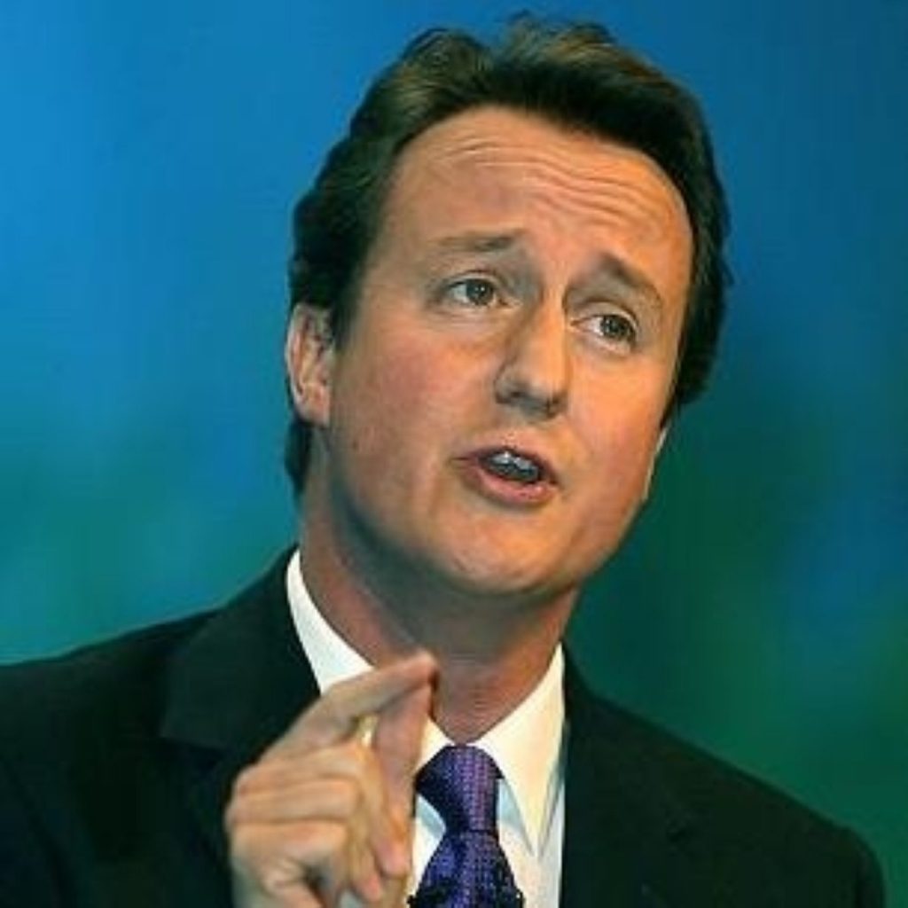 Cameron takes poll lead on crime