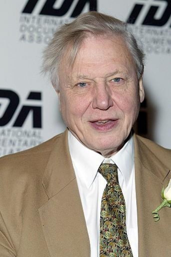 Attenborough is one of Britain's best-loved celebrities