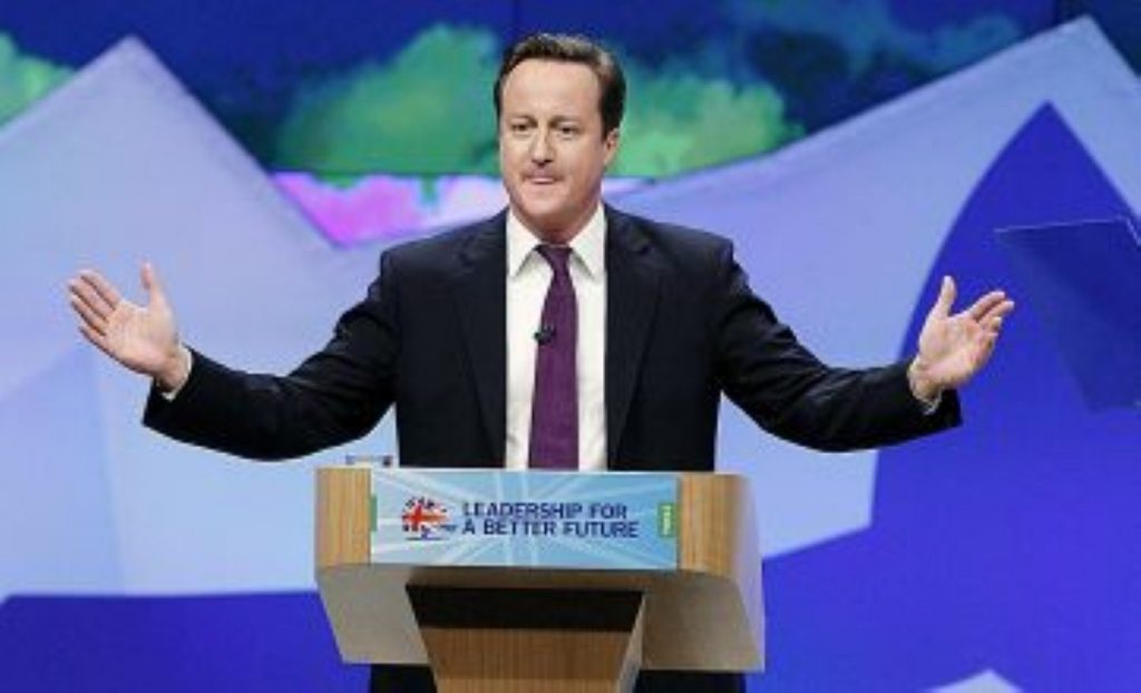 David Cameron: Playing both sides