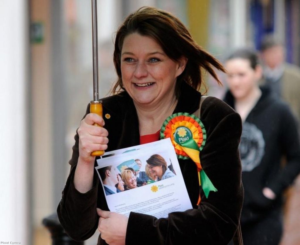 Plaid Cymru's new leader, Leanne Wood