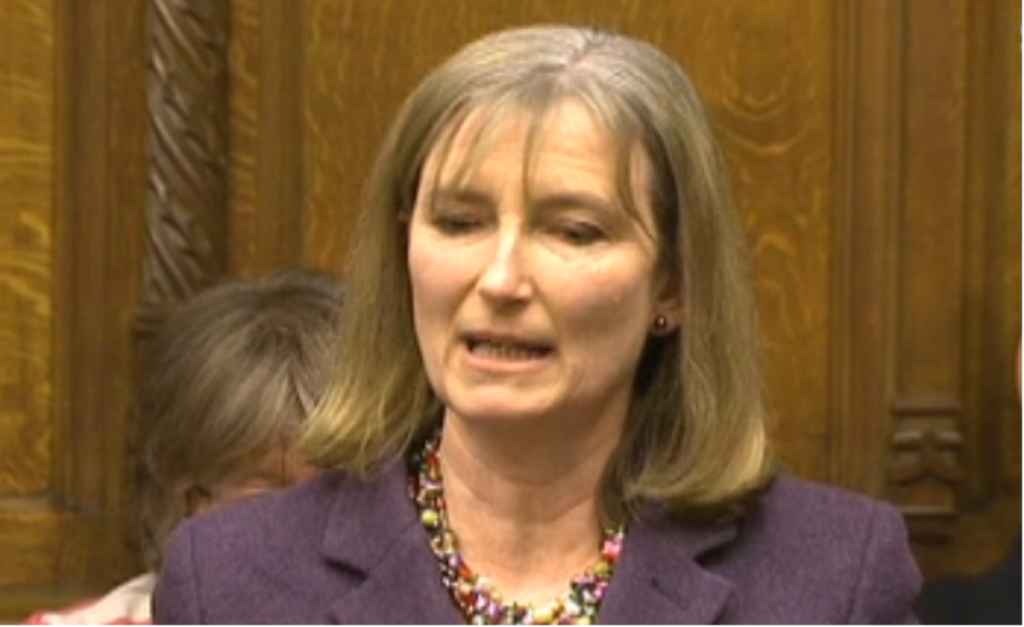 Life as an MP: Wollaston paints a damning portrait