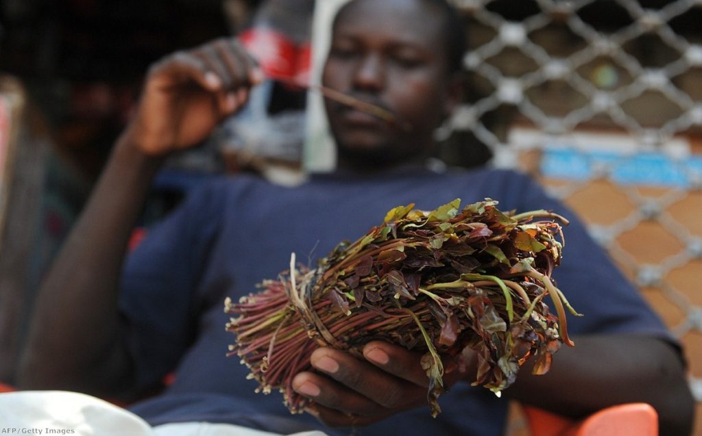 Khat is very popular in many African communities