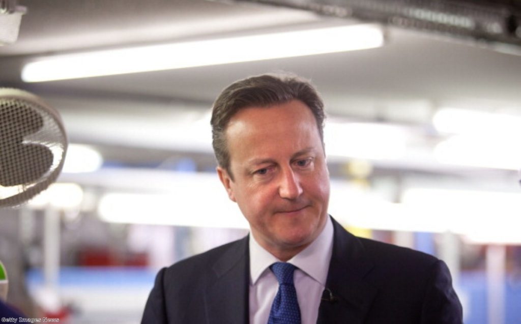 David Cameron: Failed to shed negative image of the party