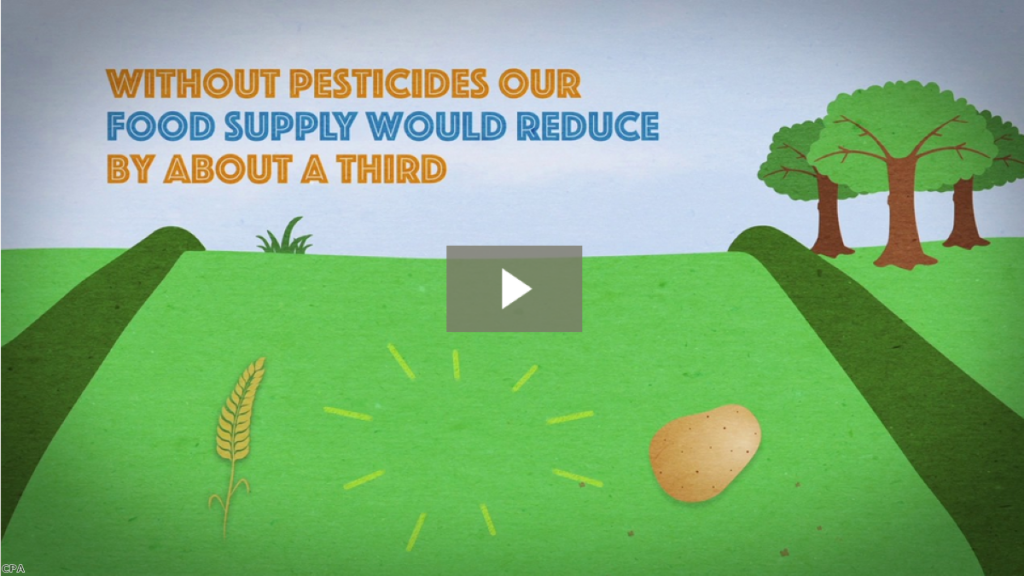 Pesticides in Perspective - Residues in food