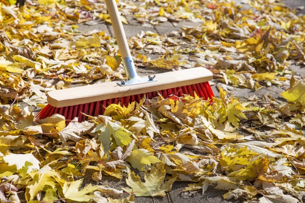 "Two elderly ladies in Birmingham have been threatened with fines for sweeping up leaves."