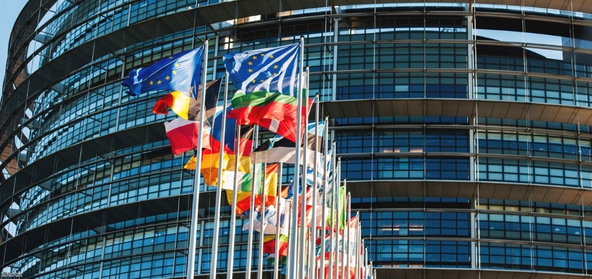 Flags in front of the European Parliament. | Copyright: iStock