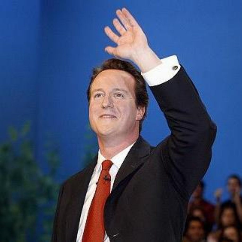 David Cameron greets the party faithful