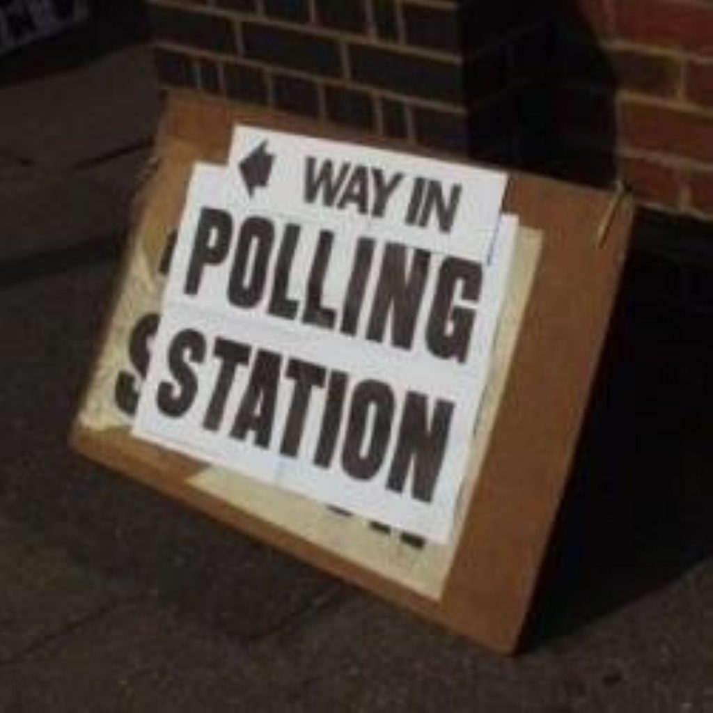 Campaigners want a referendum on electoral reform