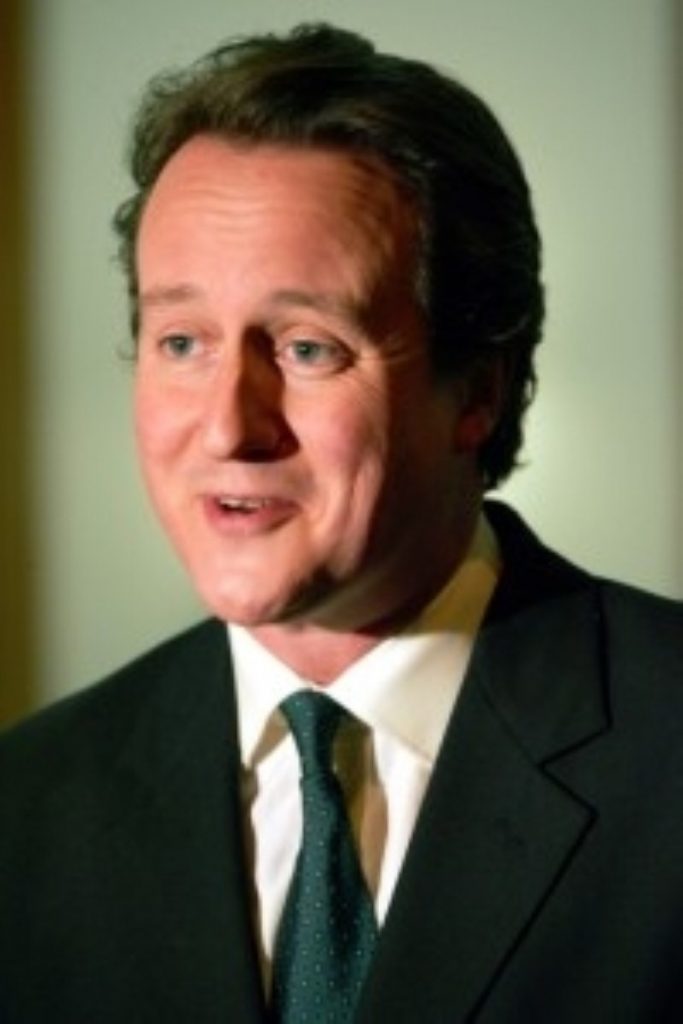 David Cameron says nuclear power would be a last resort under the Tories