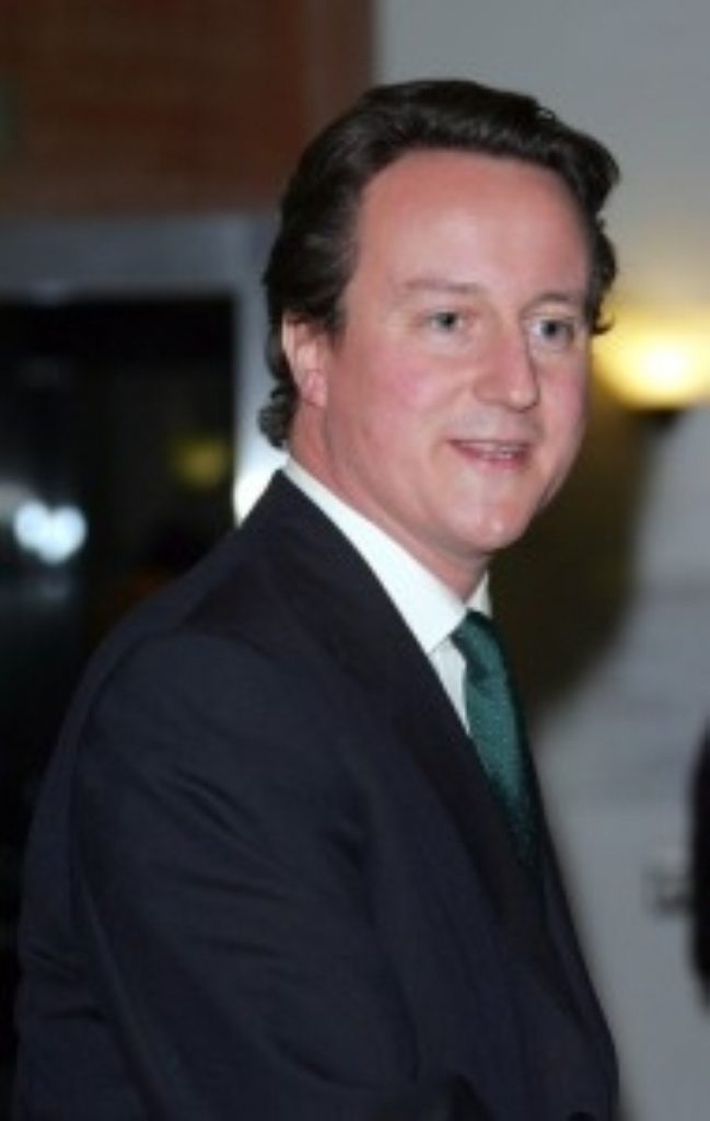 David Cameron, Conservative party leader
