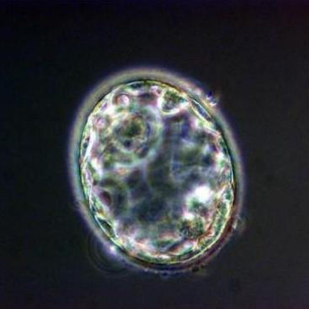 Scientists want to create part animal, part human embryos