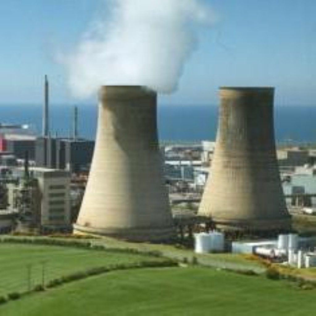 Nuclear power at heart of new energy plans
