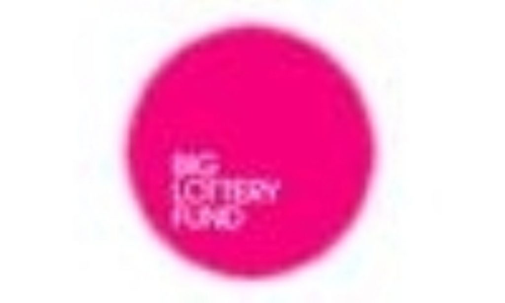 Big Lottery: Big appoints new CEO