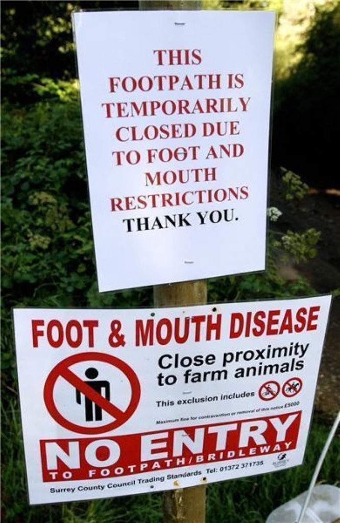 Further foot and mouth outbreak suspected