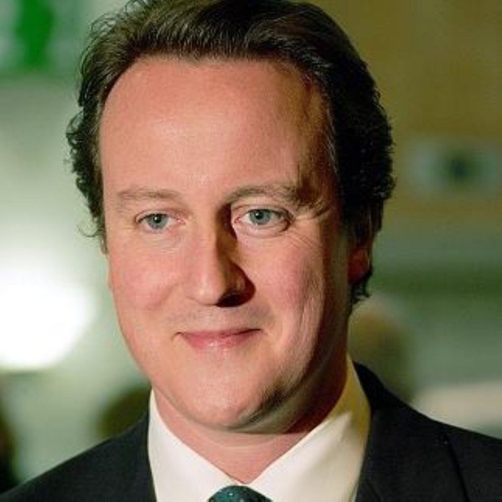 Mr Cameron has long advocated a greater role for the third sector in public services