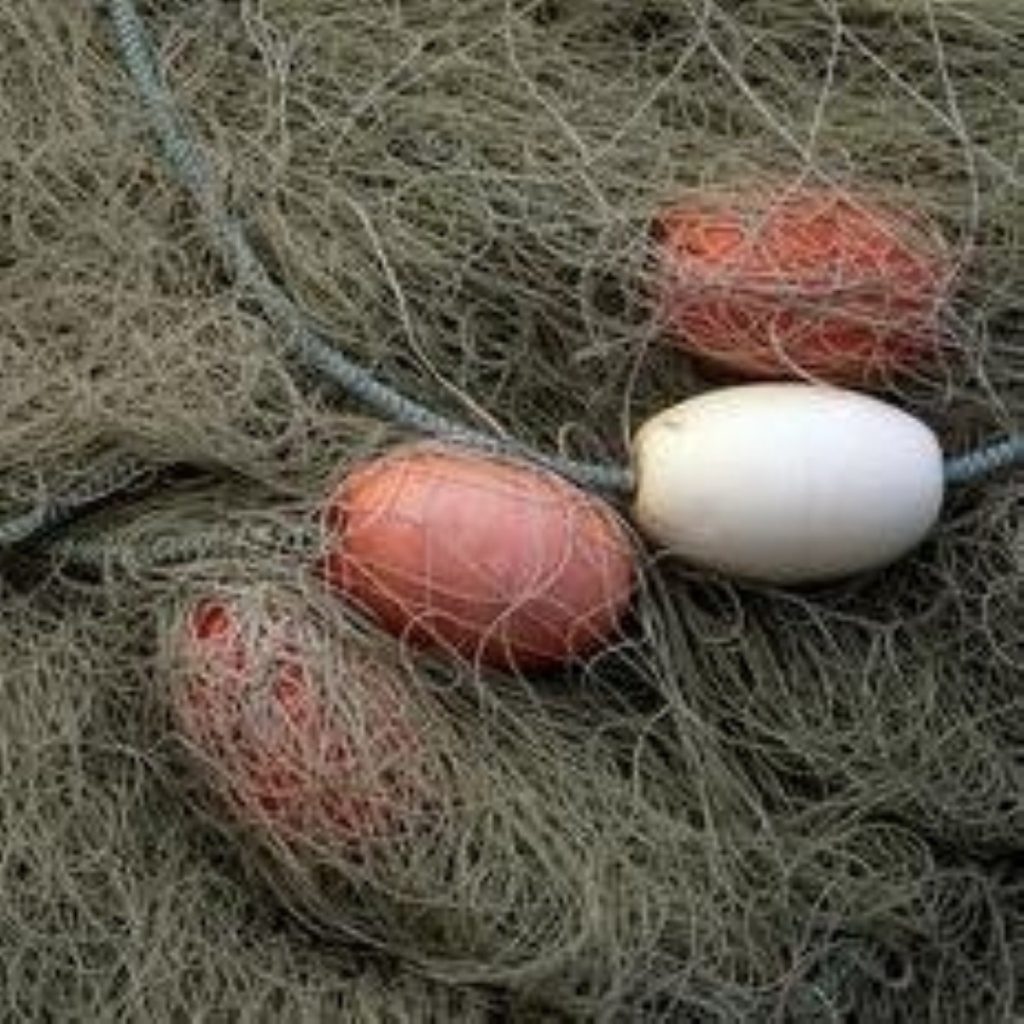 Fishermen claim majority of fish being thrown back