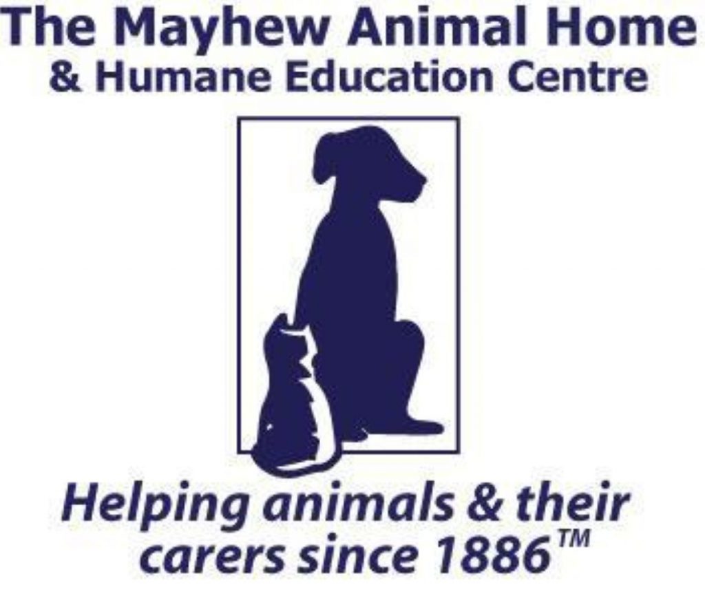 Mayhew Animal Home: Celebrities host Christmas fundraiser for abandoned animals