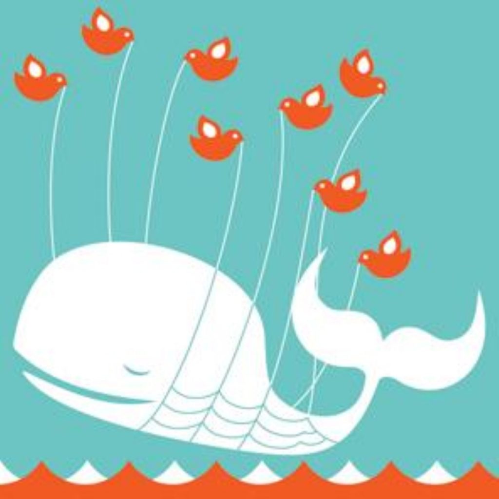 Twitter's fail whale should have no trouble dealing with MPs