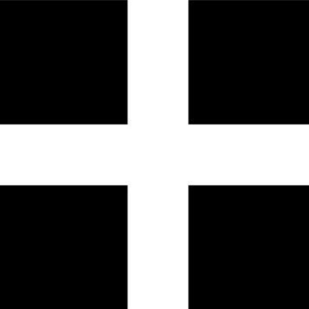 Cornish election: further problems