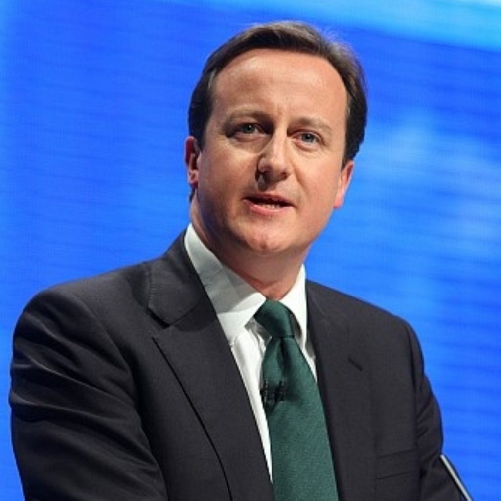 Cameron:No "all singing" president