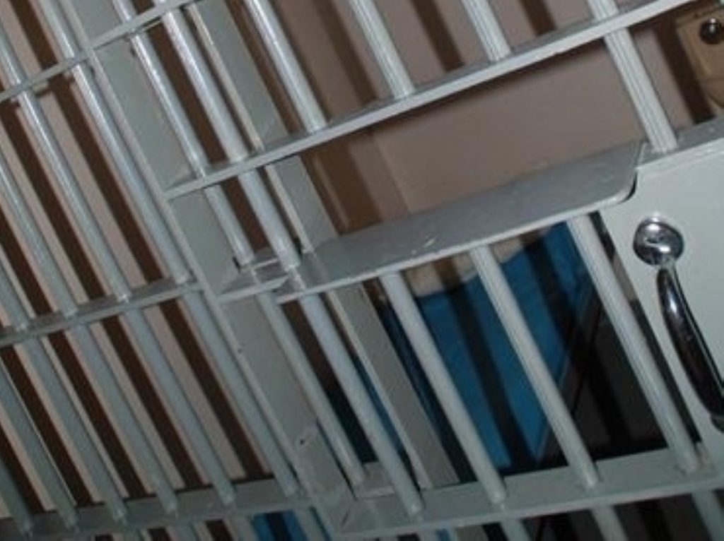 Prisoner votes ruling should be challenged, David Davis believes
