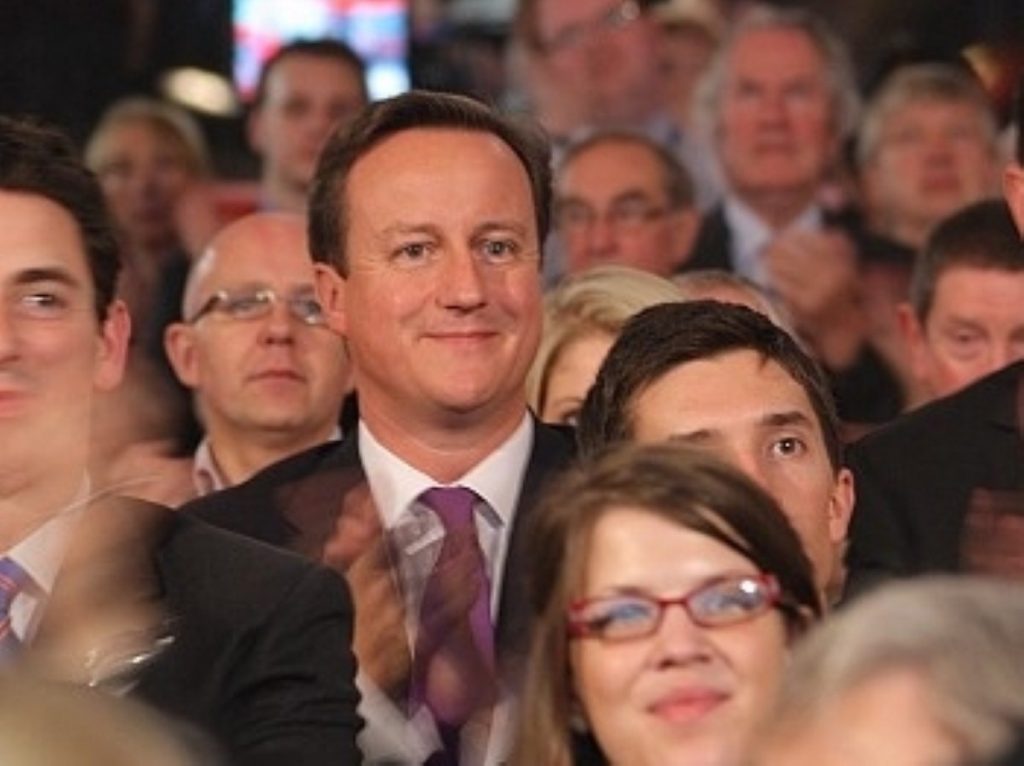 Keep smiling: Cameron among his worst enemies.